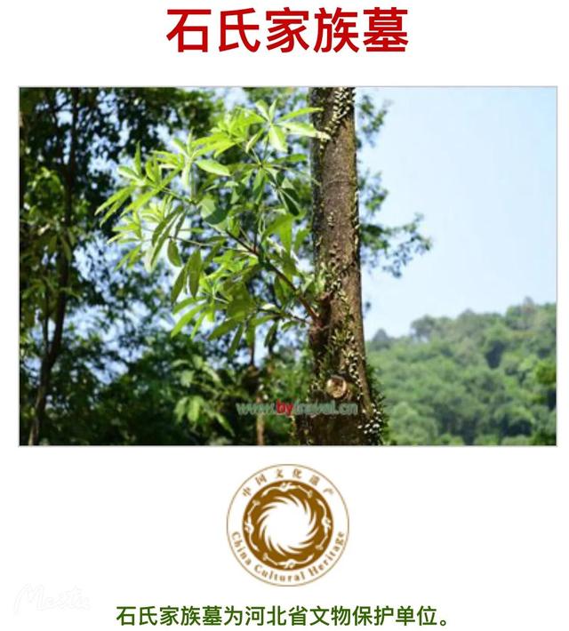 藁城区怎么读:藁这个字怎么读？啥意思？能介绍下藁城吗？