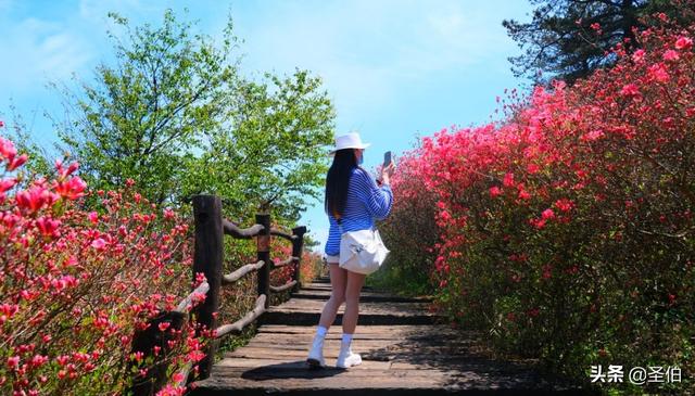 辽宁阜新旅游景点大全:辽宁省阜新市有哪些好玩的地方？