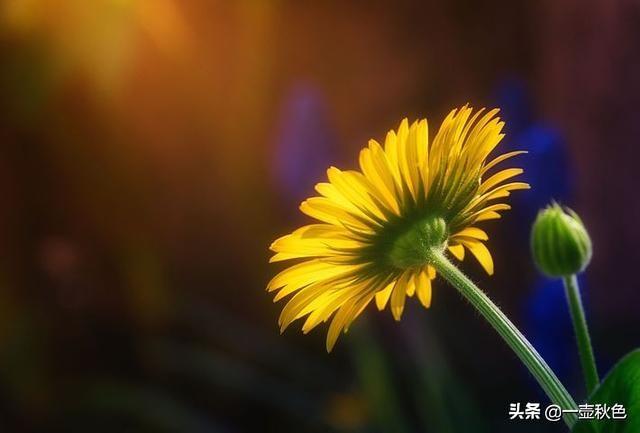 殷雪梅:有人说，人改变不了人生的长度，但能改变人生的宽度！你怎么看？