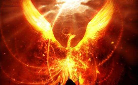 世界上最后一只凤凰，凤凰在古代是什么样的象征