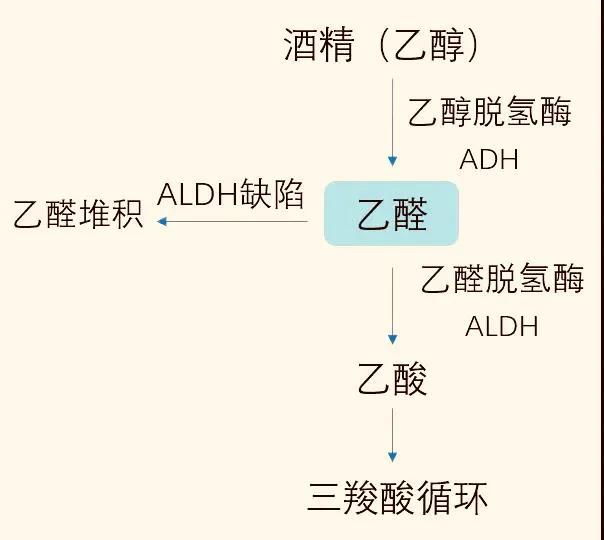 白酒最怕的解药是什么？插图13