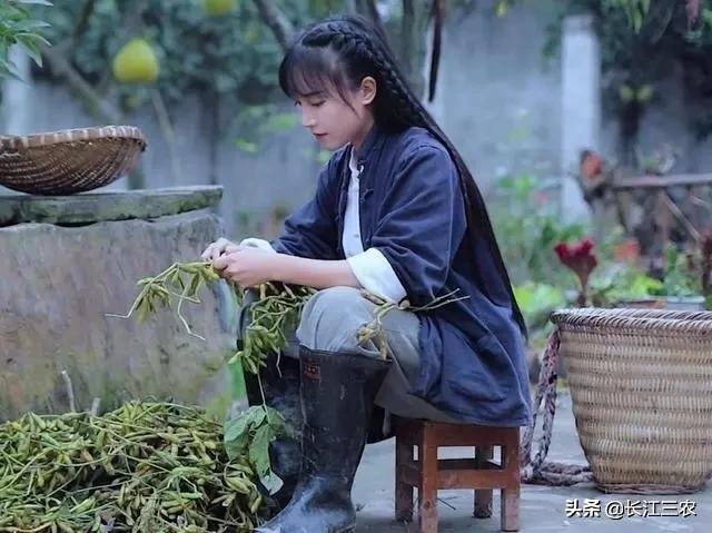 李子柒粉丝过亿,可城里人说她厨房脏；农村人说她的视频很假、很不真实,你怎么看呢？