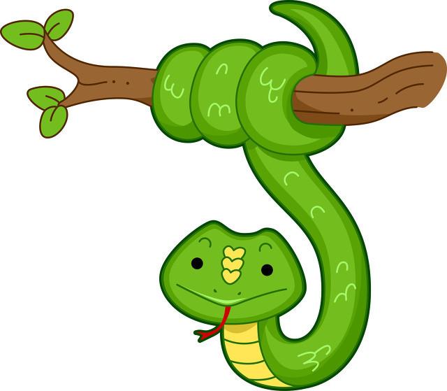 属蛇最怕的是什么，生肖蛇的人性格怎么样，有什么致命弱点