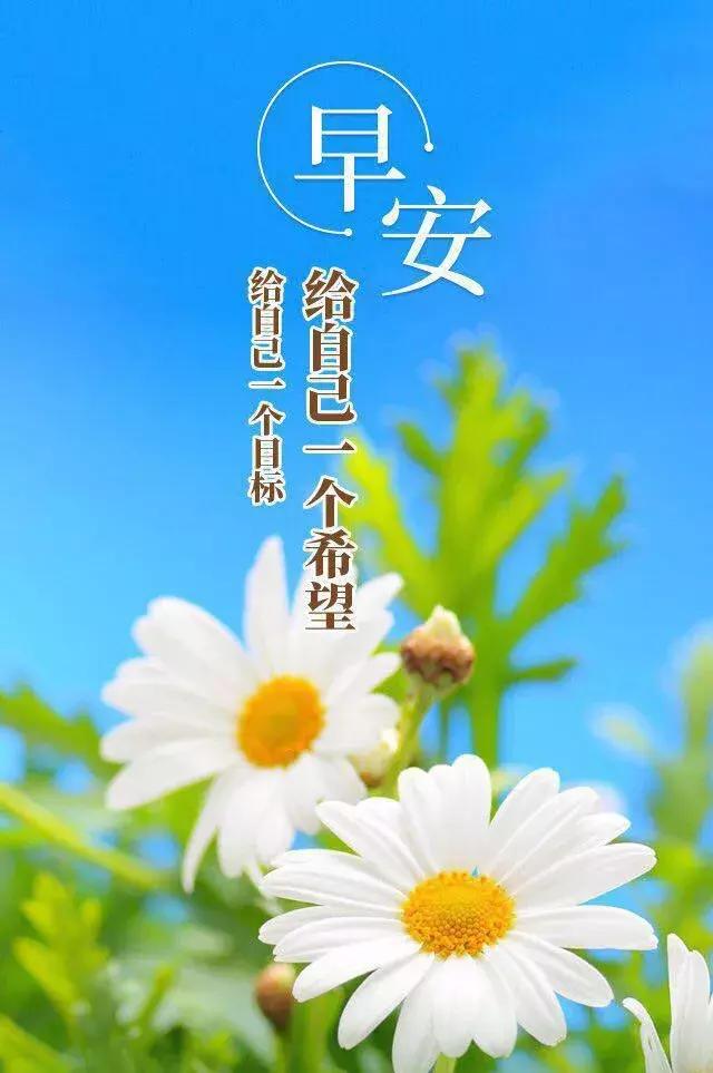 正能量周末早上好问候语句：愿期待的都实现，努力的都被成全
