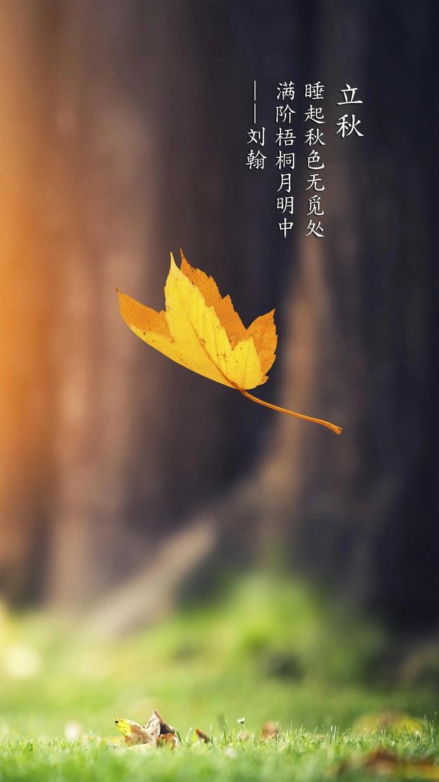 <a href=https://maguai.com/list/256-0-0.html target=_blank class=infotextkey>朋友圈</a>图片立秋:马上就立秋了，是不是立秋后就凉快了？(立了秋是不是就凉快了)