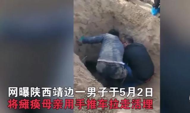 乌鸦反哺 现代版:羊羔尚知跪乳，乌鸦懂得反哺，父母养育深恩，儿女如何回报？