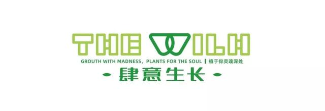 创业图标，初创品牌应该如何设计LOGO？