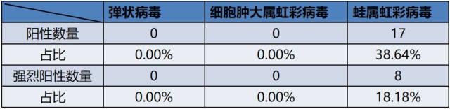 鱼诺卡氏菌病中药治疗方法:鱼类诺卡氏菌症有哪些症状 初春加州鲈烂鳃病如何预防？