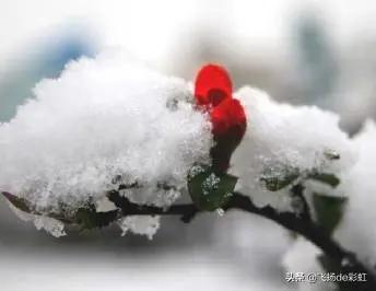 王思聪的外公是谁:当代年轻人抱怨最多的是什么