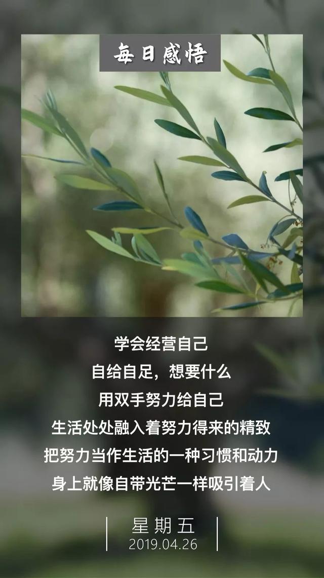 正能量早安图片日签190426：微不足道的成绩，都曾花费过巨大努力