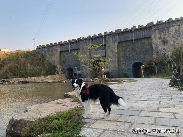 爱与狗同行剧照:大家都是怎样看待《与卡戴珊同行》这个剧的呢？
