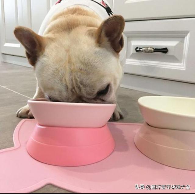 宠物食品配方设计的原则:你是怎么给狗狗自制狗粮的？