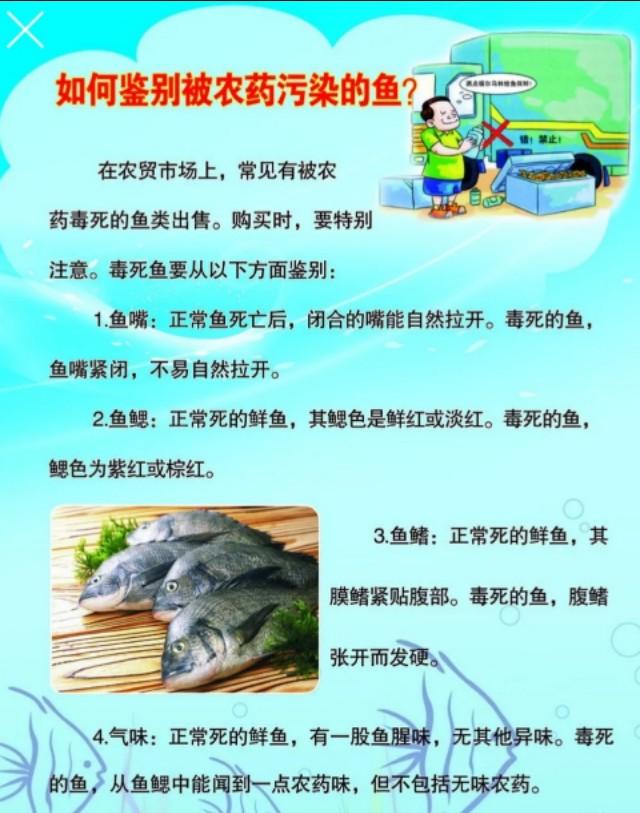 结膜吸吮线虫怎么传染:人畜共患眼线虫——结膜吸吮线虫？