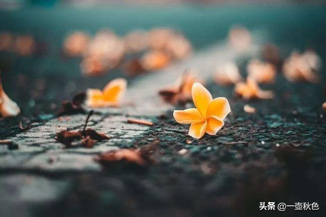抖音唐艺老公是谁:你怎样看在抖音上炫耀孩子（学习习惯）、家庭、老公，反感吗