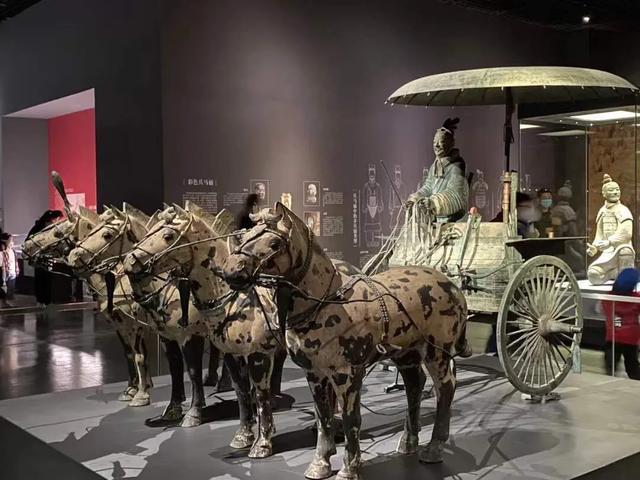 马的种类及图片:中国古代马的种类有哪些？有何依据？