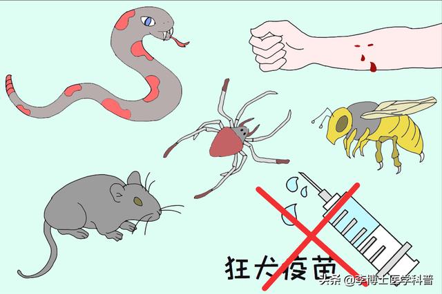 搓手猫现在怎么了:孩子被猫抓伤一个月了，没注射疫苗现在心里非常紧张，怎么办？