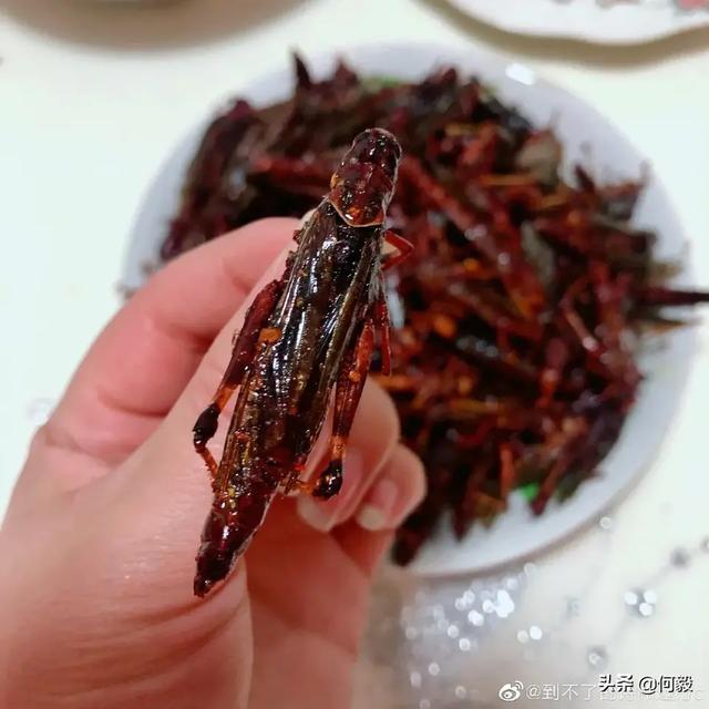 怎么看待印度媒体说蝗灾已经基本结束，4000亿蝗虫没折腾几天就被消灭了吗？