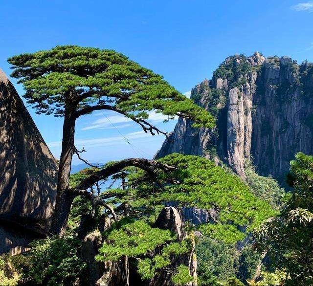 去黄山一天能游玩完吗怎么走路线(一天游黄山最佳路线)