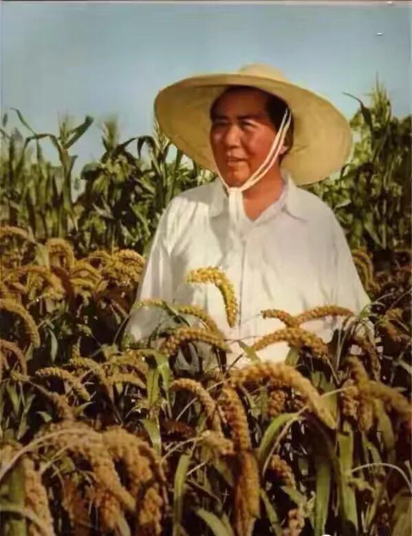 历史上有哪些廉洁的官员？