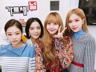 喜欢blackpink,我应该做些什么？
