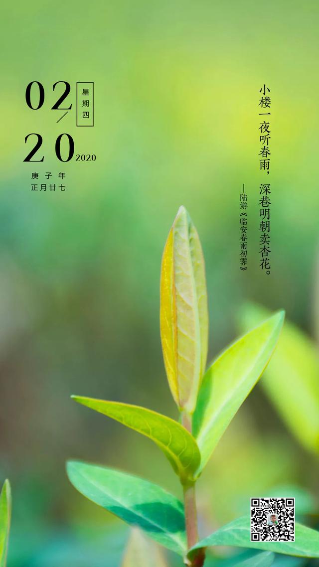 周四早安图片日签正能量：拙以勤劳弥补，执着成就建树