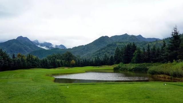 润物细无声是描写春雨的吗:“随风潜入夜，润物细无声”这两句诗是从什么角度来写春雨的？