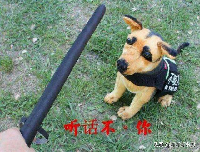 胡主编说，中国要增加几千枚可以投到敌方城市的核弹。需要多少投资？
(图3)