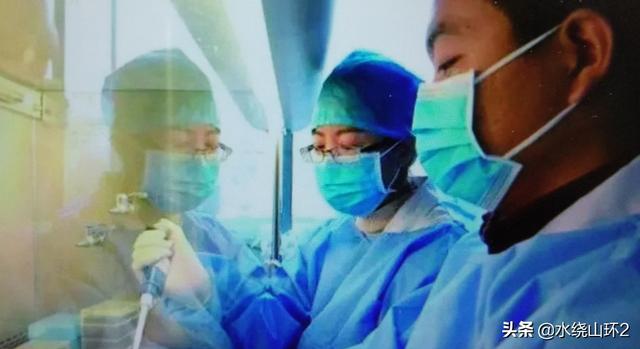 h7n9禽流感候鸟迁徙:乱捕乱食候鸟，会不会有感染上禽流感的风险？