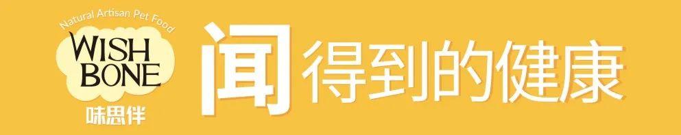 宠物进口:宠粮进口的有哪些优势吗？