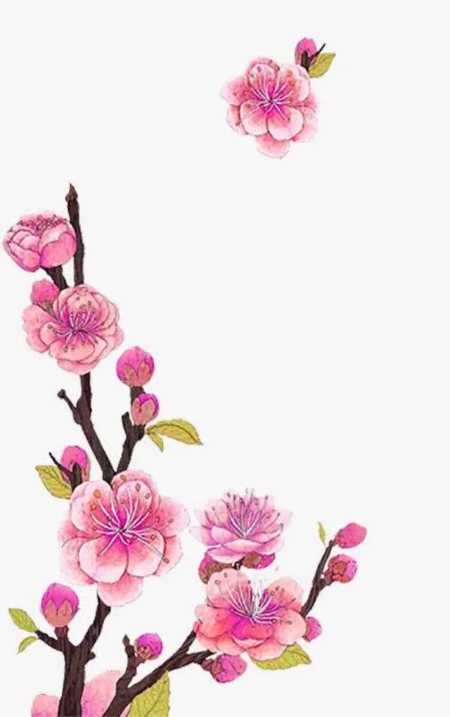 有没有特别有仙气,但无关风月的古风句子？