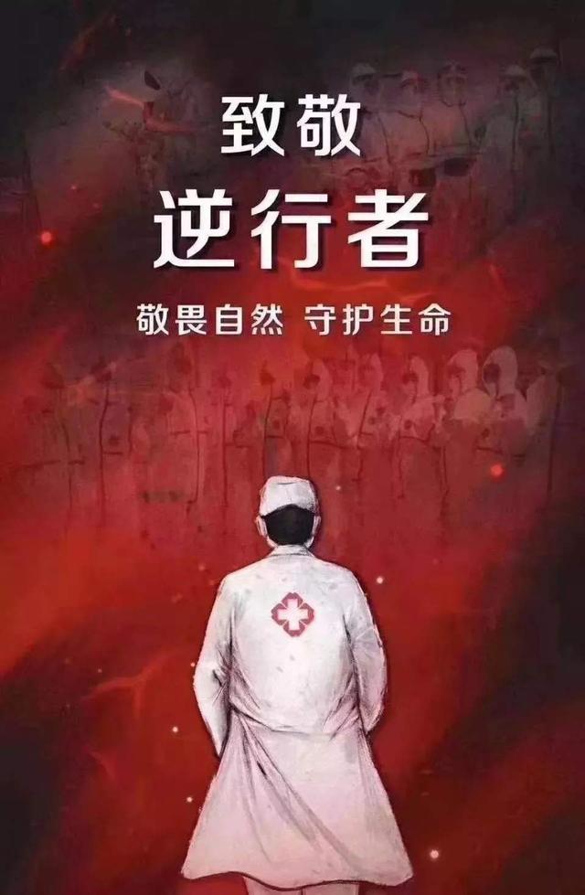 宠物志愿 全cg:中国这次新冠肺炎，该拍个纪录片记录全国是怎么抗击疫情的吗？