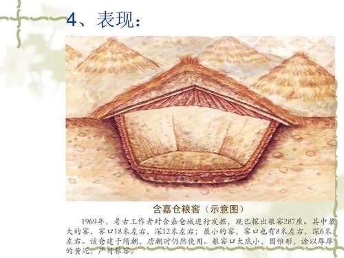 千年不腐:河南出土隋唐粮仓，为什么粮食千年不腐还能发芽