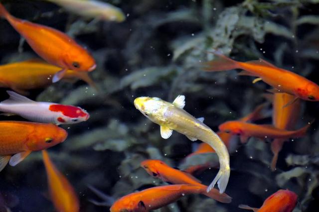 有没有搞笑图或段子能够分享一下？