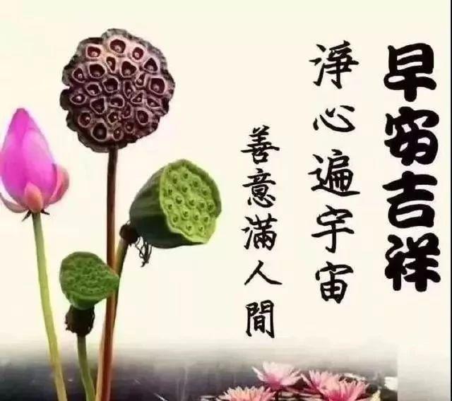 降温天冷的简短暖心问候说说 寒冬温暖早安问候语句配图