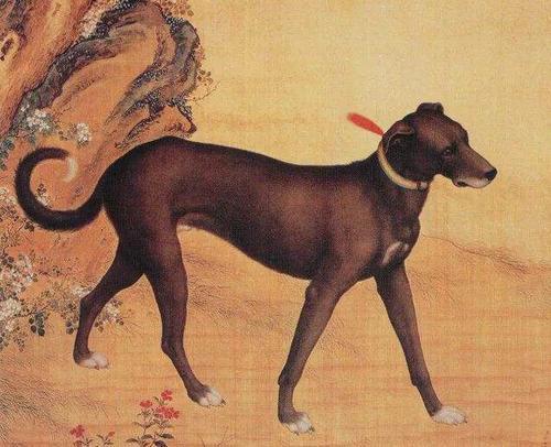 杨可凡:俗话说，宅子现四喜，家中出能人，这四喜指的是什么