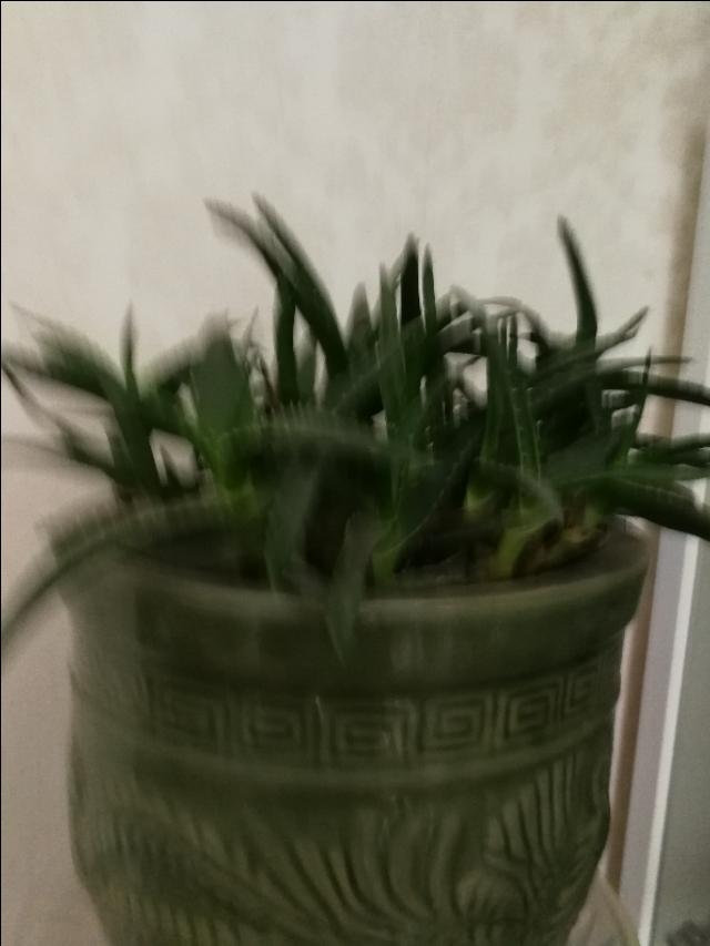 选购品:新手做销售，选择价格高的产品还是价格低的快消品好呢？