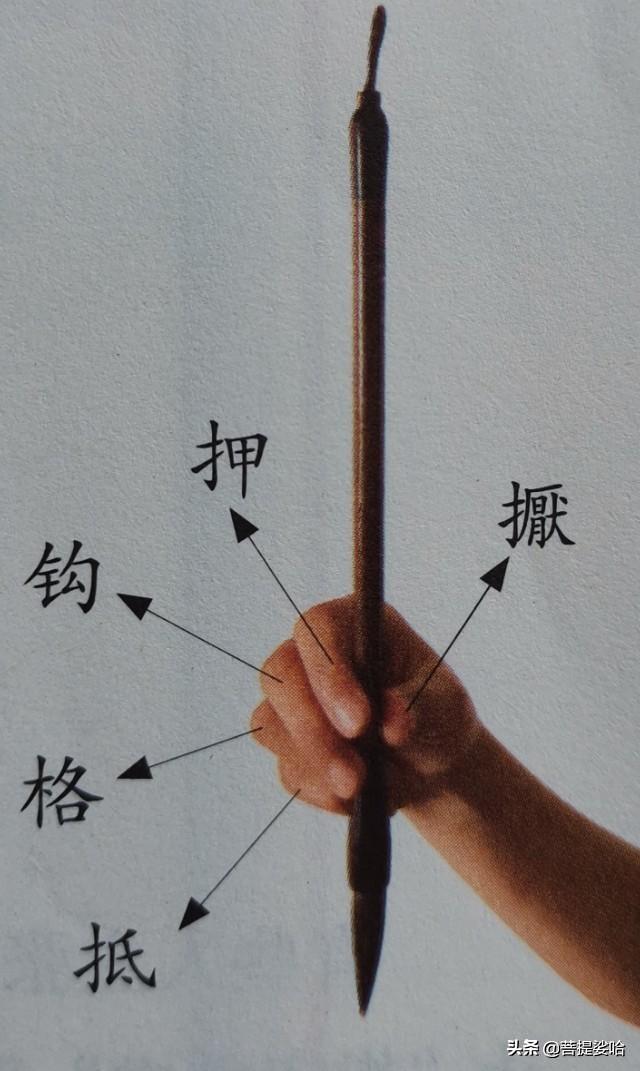 正笔画,正确的握笔姿势是什么样的？