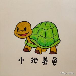 小龟白眼病白膜多久掉:怎么判断乌龟是否得了白眼病？怎样治疗白眼病？