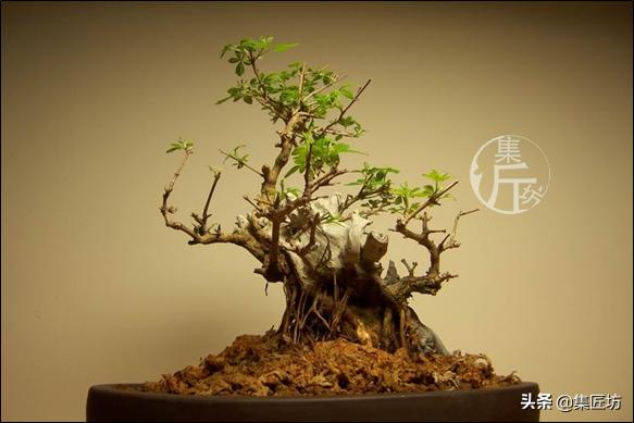 培新机械:工业机器人专业有哪些就业方向？