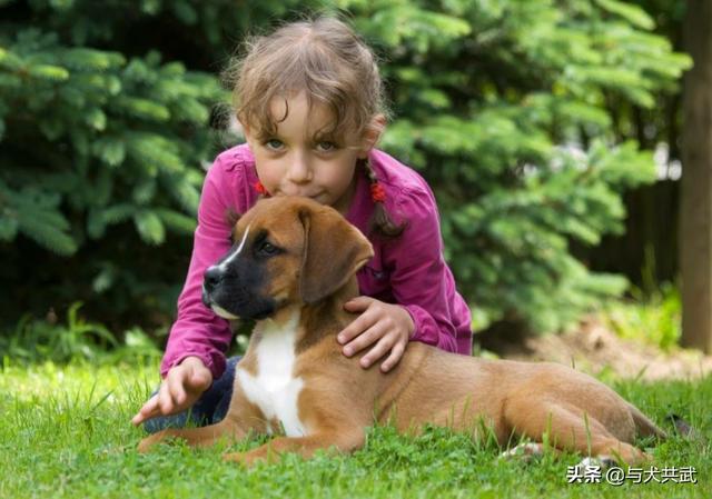 狗狗每晚都过来上我图片:强奸犯晚上去女人家实行强奸，被女人家的狗咬死，女人是否犯罪？