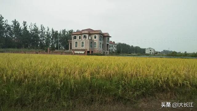 农业高质量发展主要指什么？