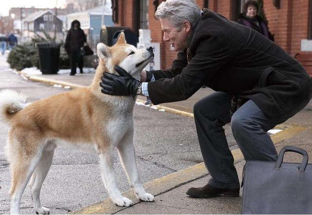 导盲犬珍妮:导盲犬珍妮退役选主人视频 大家都知道几部感人的电影，都是什么呢？