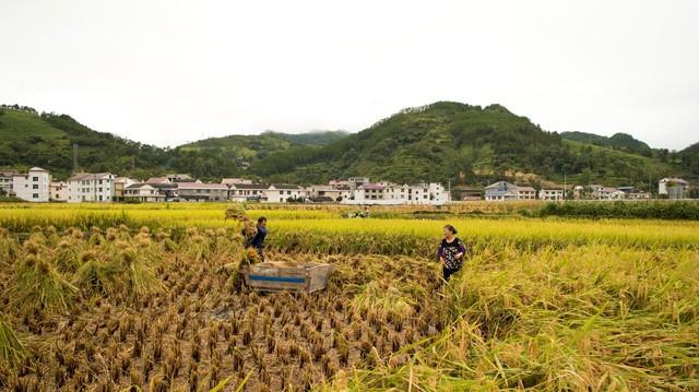 你见过最疯狂的人，有多疯狂做了哪些疯狂之事(最疯狂的事情有哪些)