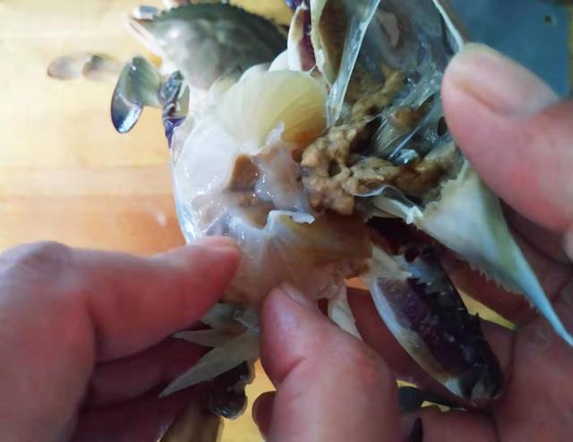 老渔民教你正确烹饪皮皮虾，渤海湾已经开始休渔期了，哪里还来的那么多皮皮虾和海鲜啊