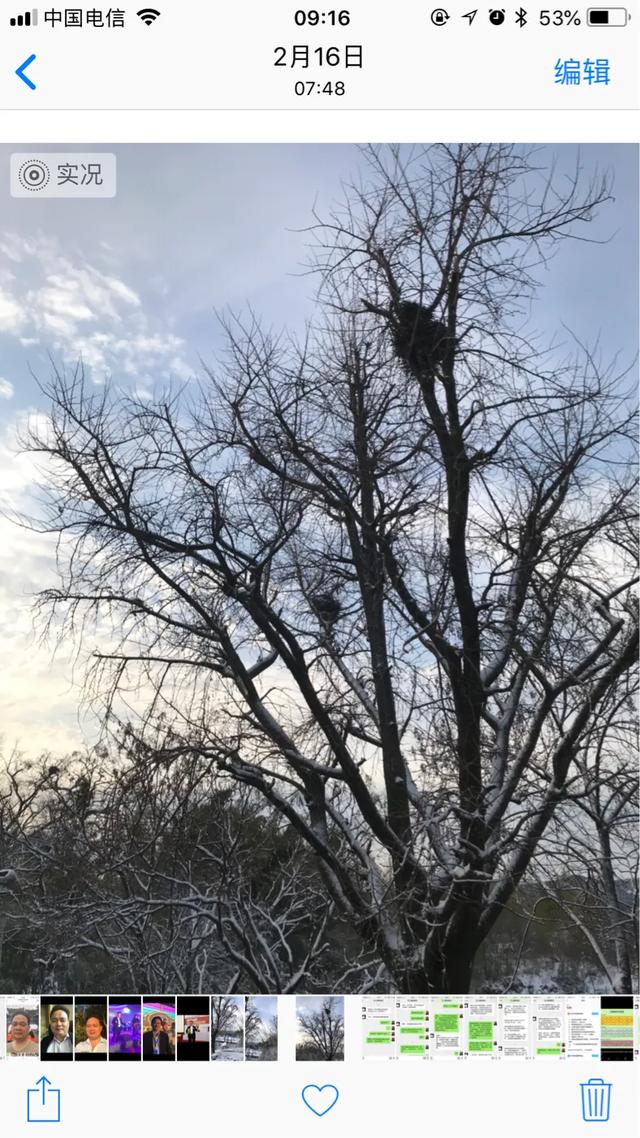 张国明是什么人:在酒桌上总是先撤的人是什么人？