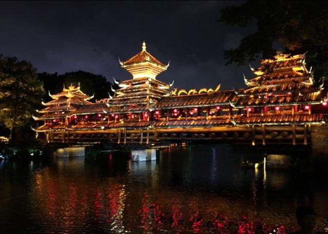 深圳狗狗网红:在深圳，为什么脱单那么难呢？