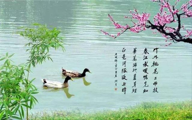 头条问答 - 惠崇春江晚景其一是谁写给谁的?(7个回答)