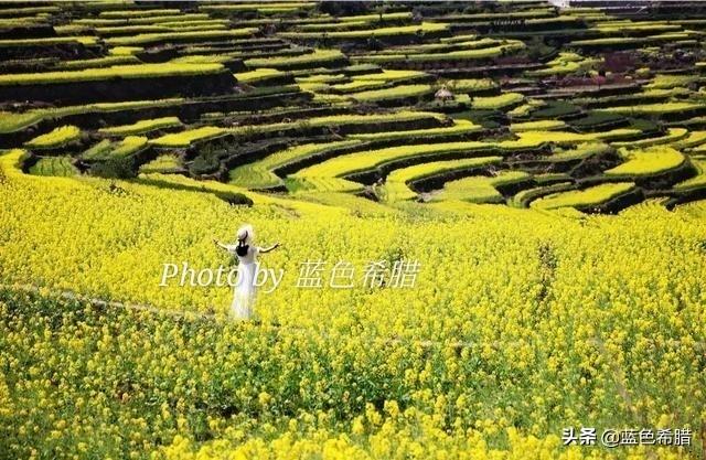 今年桃花开的图片-漫山遍野桃花开的图片