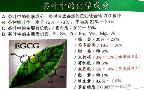 喝茶叶有没有好处,嚼茶叶吃有什么好处和坏处？