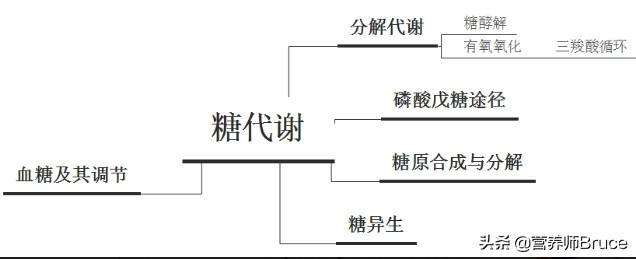 什么东西泡水对肝最好,脂肪肝用什么泡水喝最好？